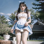愛麗斯甜心女僕 / 藍白色 / ✧111121
